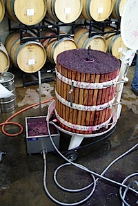 Pressing down the grapes