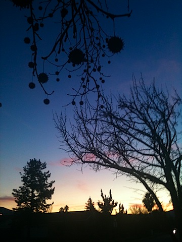 Pokie Balls at Sunset