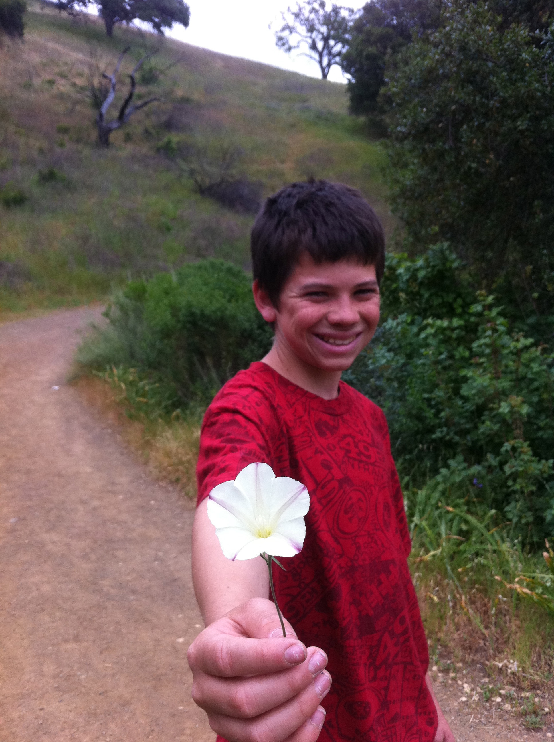 Flower for Mom