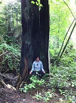 Tree Pose - Meditation